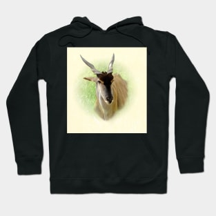 Eland antelope Hoodie